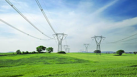 green grid