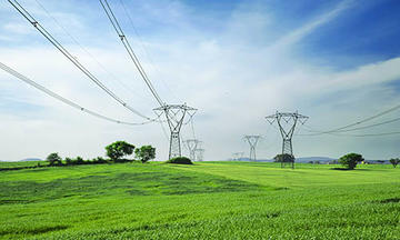 green grid